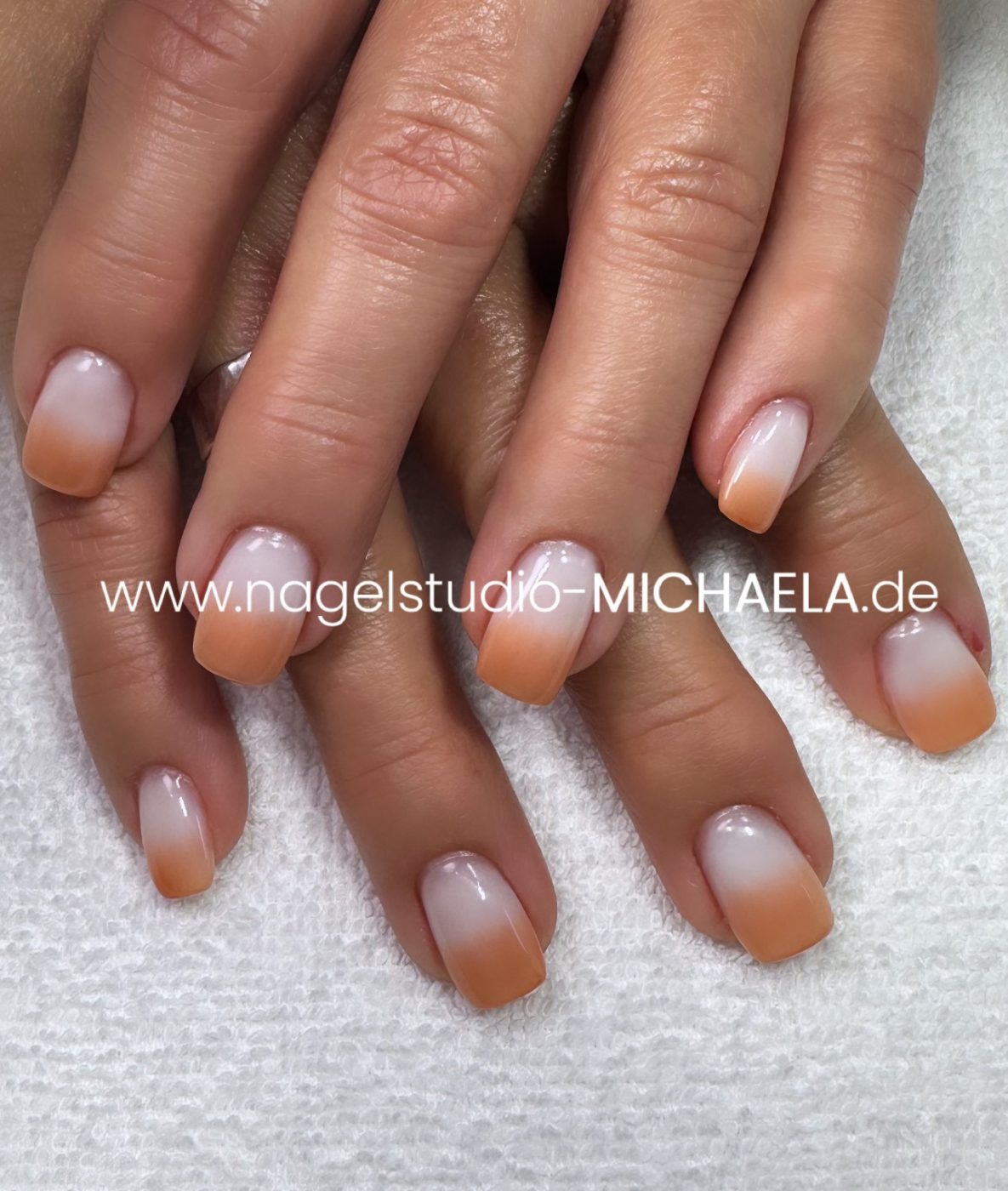 9E8F24DE-0321-4826-8ED8-1ACC37F87092