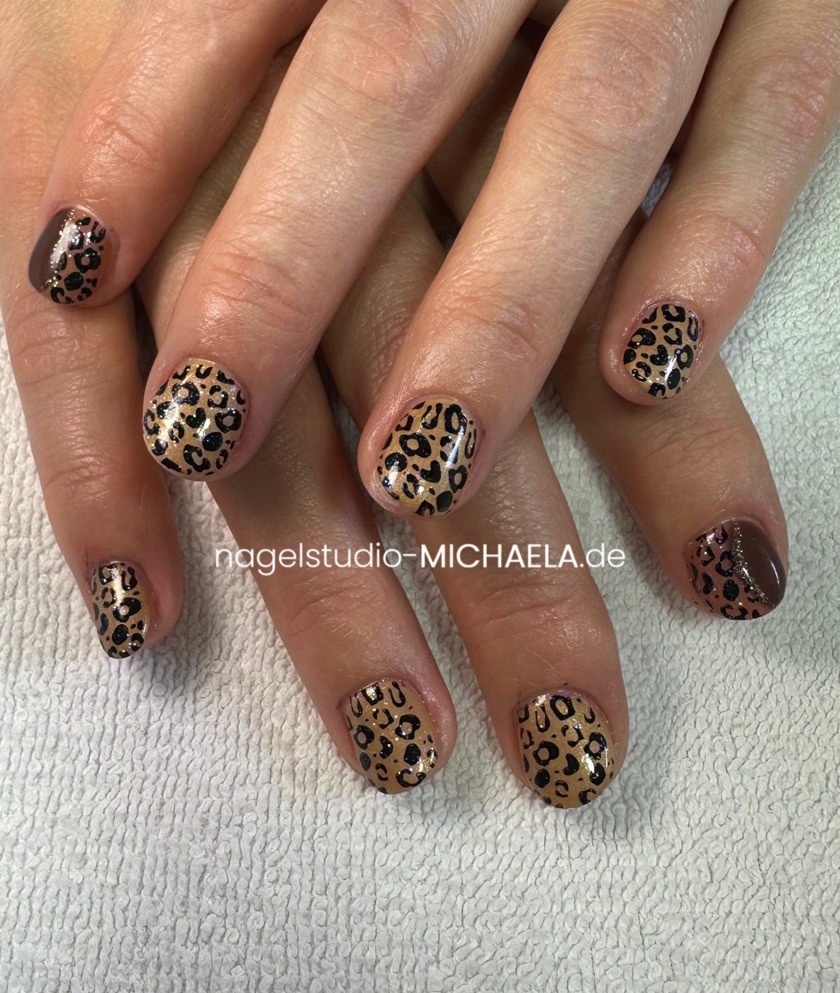 D49CEBC5-9B29-490A-B7AD-DC3983466B27