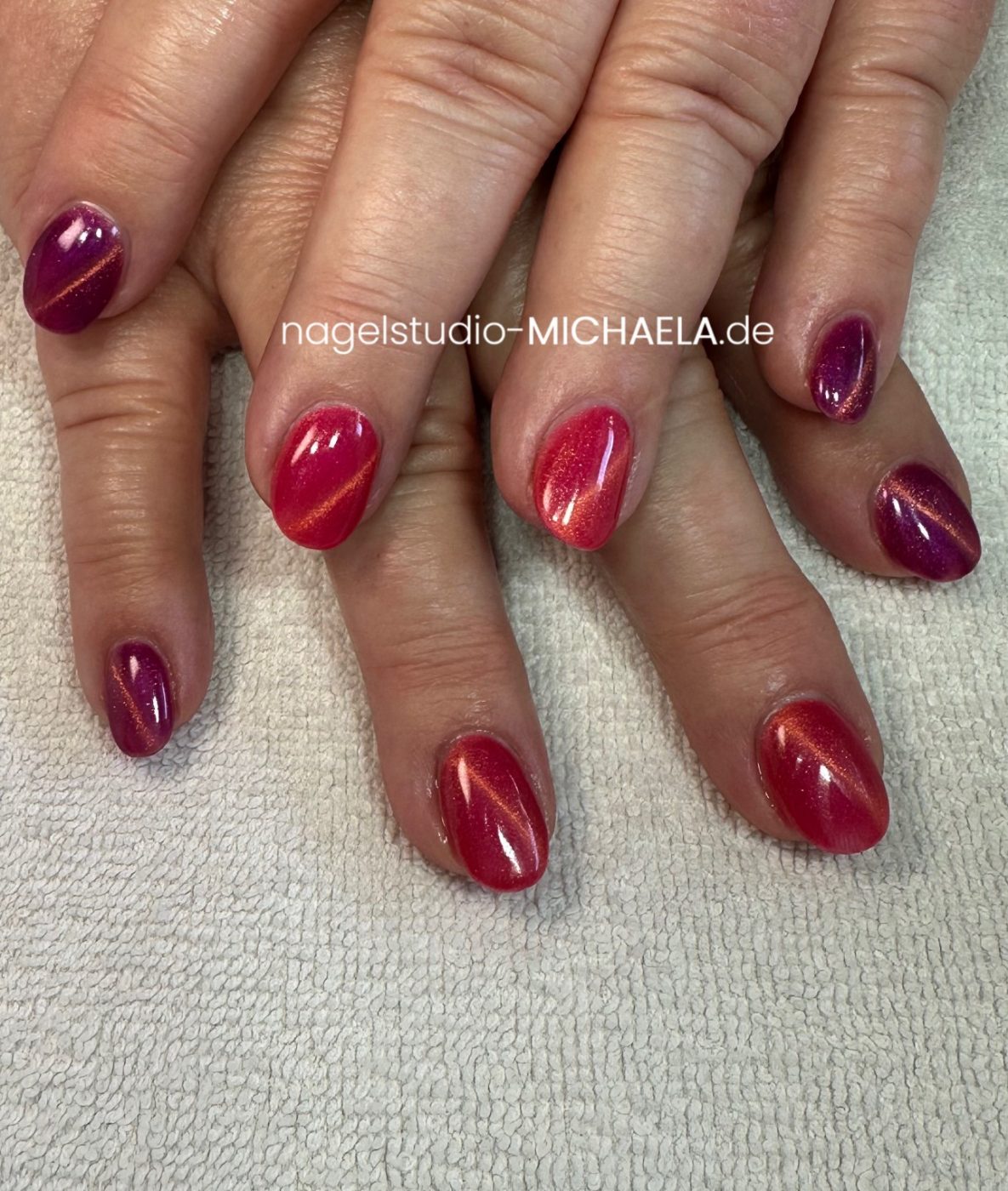 F9E8687D-D12A-492D-9B38-16B6A38588A4